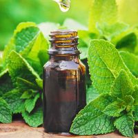 Aceite esencial de menta piperita